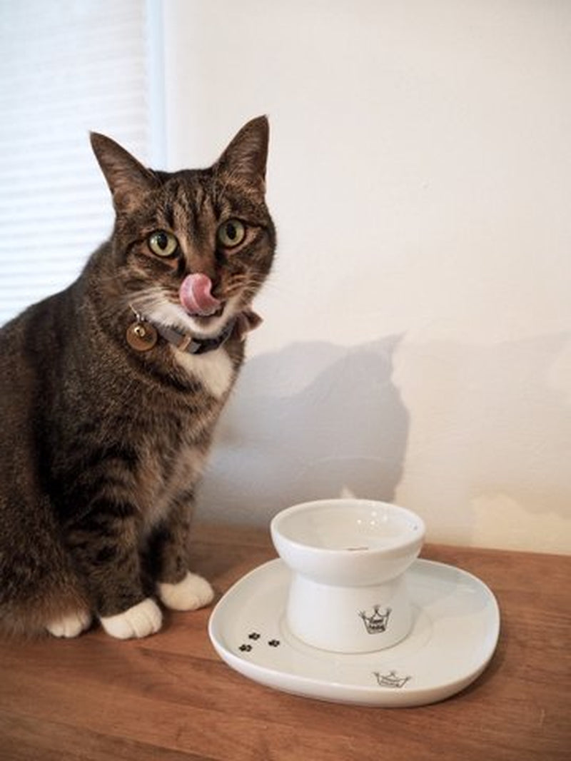 Raised Cat Bowl Dining Tray (Single)