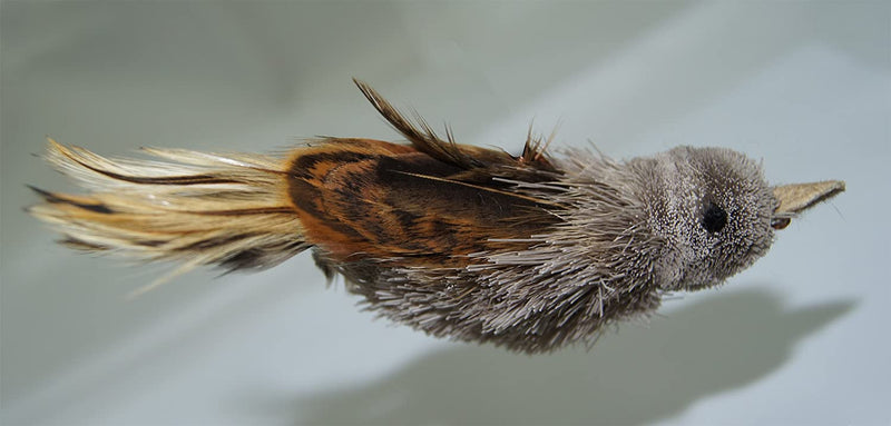 House Finch Bird Refill/Attachment- Fits Wildcat and Popular Bird and Mouse Type Wands/Poles