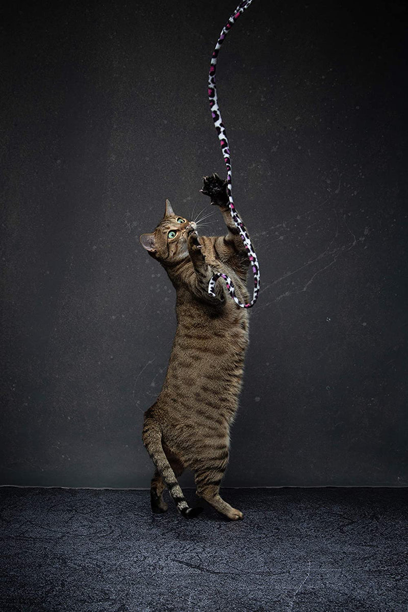 CAT DANCER Jungle Cat Wand 2 Pack, Multi Color (305),Medium Breeds