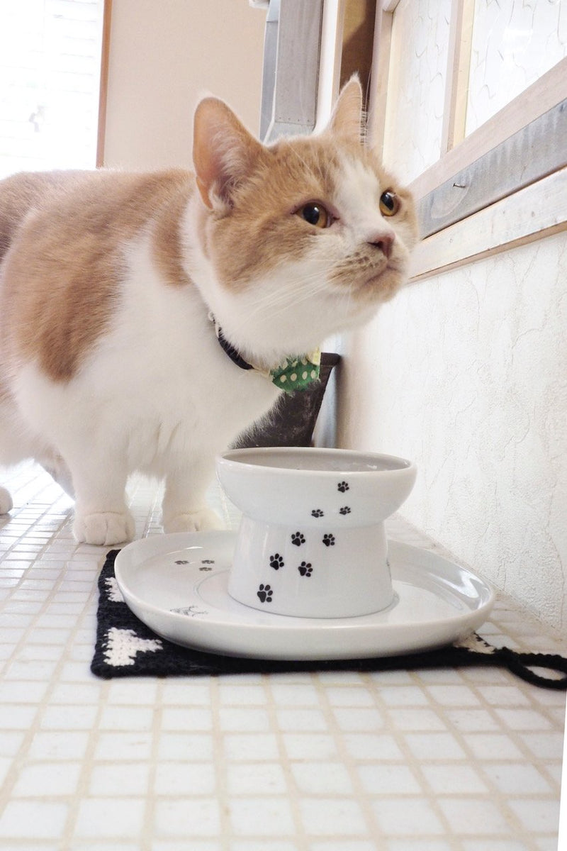Raised Cat Bowl Dining Tray (Single)