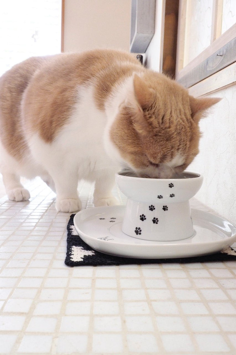 Raised Cat Bowl Dining Tray (Single)